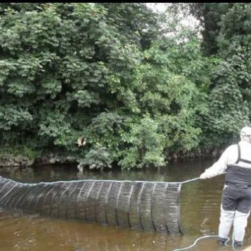 Action Cancer Duck Race – 23 June 2017