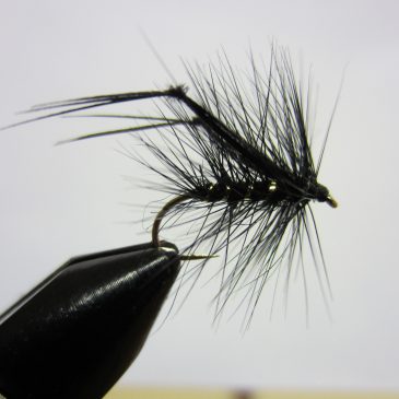 Fly Tying Classes 2025/26