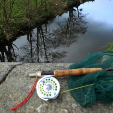 2019 Season – New Day Ticket Outlet