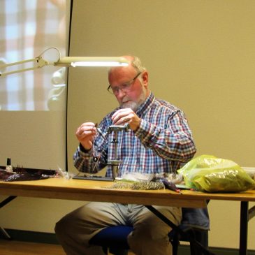 The ‘World Cup’ Dabbler