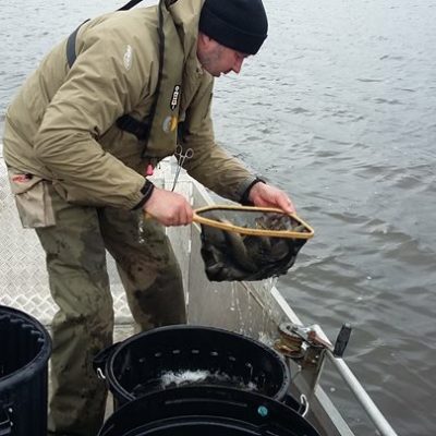 BAC Roger McClements stocking fingerling Brown Trout at Corbet Lough on 11 April 2018 