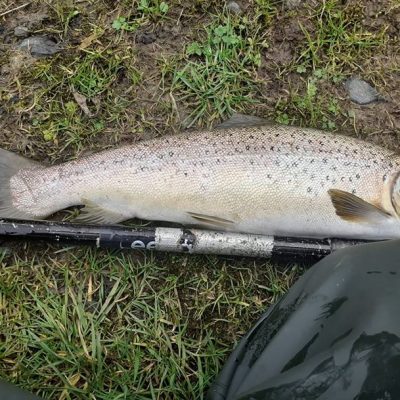 BAC - Wilson Clinghan caught this nice 2lb Brownie at Corbet Lough on Tuesday 3 March 2020