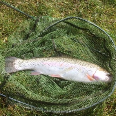 BAC - One of the nice Rainbows taken on the fly by Roger McClements at the Corbet Lough on Sunday 1 March 2020