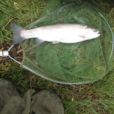 BAC - Rainbow of 4lbs caught by Roger McClements at Corbet Lough on Sunday 15 March 2020