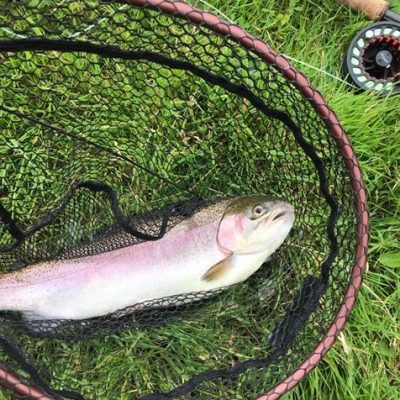 BAC - Michael Steenson caught this great Rainbow Trout 6lbs at Corbet Lough on 21 July 2020