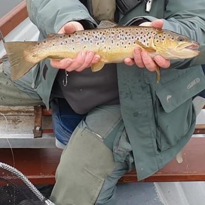 BAC - Stevie Rea with a nice Brownie caught at the Corbet Lough on 29 August 2020