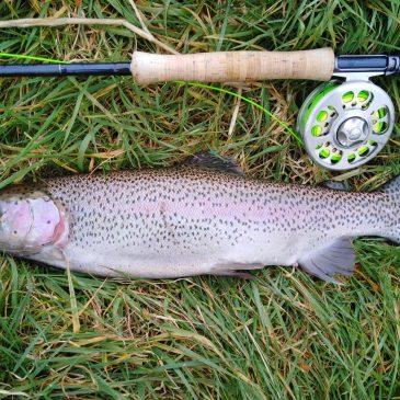 Fishing Report – March 2021