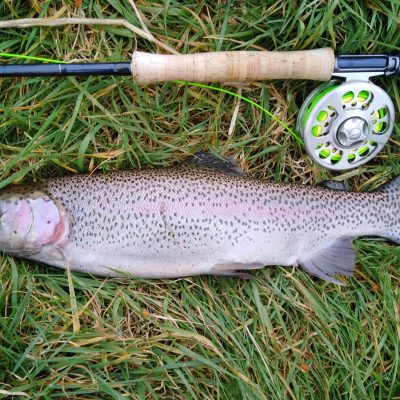 BAC - 2.5 lbs Corbet Lough Rainbow caught by Brendan Downey on 18 March 2021