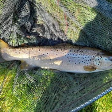 Fishing Report – March 2022