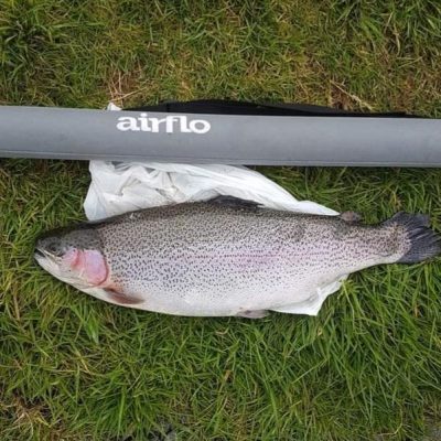 BAC - Monster Rainbow of 7lbs caught by David Hayes on the spinner at the Corbet Lough on 26 April 2023 
