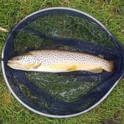 BAC - David Hayes caught and returned this great Brown Trout of 4lbs at the Corbet Lough on 11 April 2023