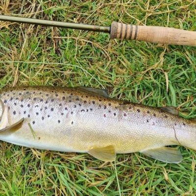 BAC - Fantastic Brown Trout caught by Jimmy Haughey at the Corbet Lough on 31 March 2023
