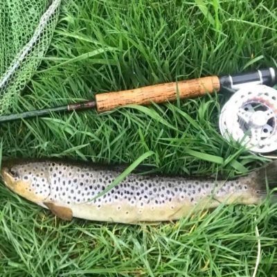 BAC - Beautiful wild River Bann Brown Trout of 1.25lbs caught and returned by Roger McClements on 11 April 2023