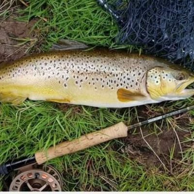 BAC - A great Brown Trout which Keith Gibson caught on the fly and returned at the Corbet Lough on 1 May 2023