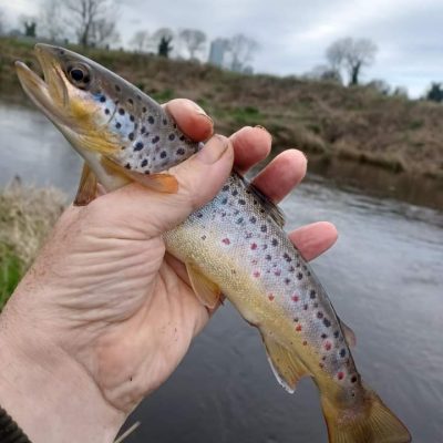 BAC - Wilson Clighan with lovely wild brown trout caught and released on the River Bann on 24 March 2024