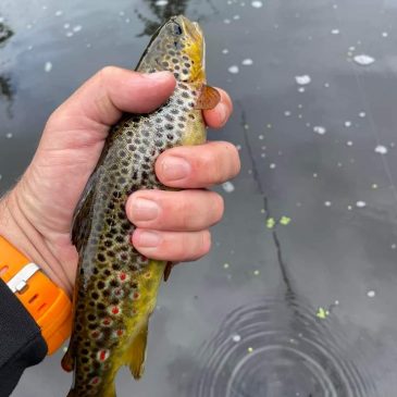 Fishing Report – September 2024