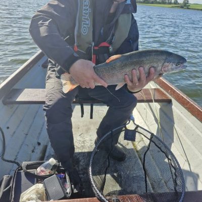 BAC - Geoffrey Moorehead with a fantastic Rainbow of 6lbs caught at the Corbet Lough on 26 September 2025 