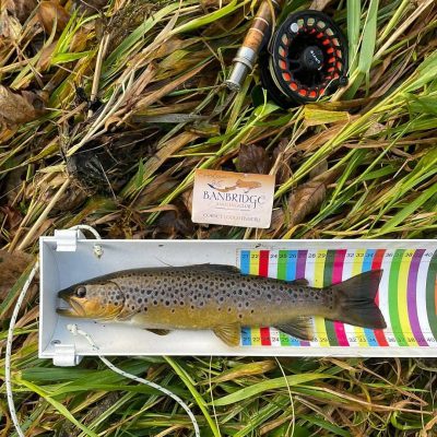 BAC - Roger McClements fish in the Otterburn Trophy competition on the River Bann on 25 October 2025