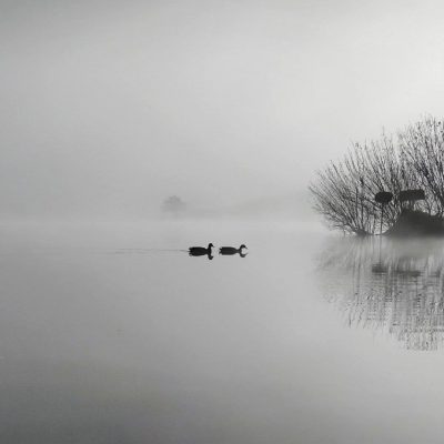 BAC - A misty morning at the Corbet Lough. Photograph courtesy of Damian Murtagh (April 2026)