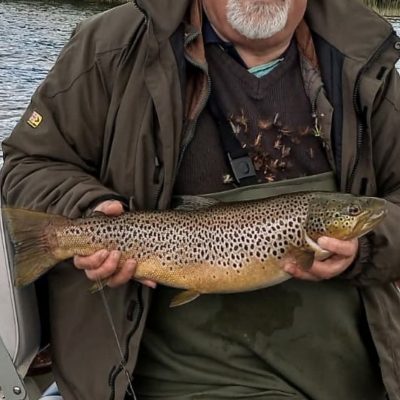 Freddy Steele, Banbridge