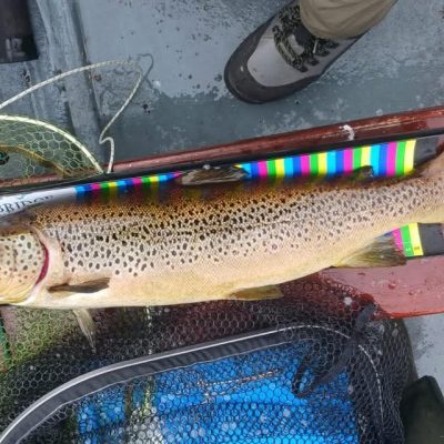 BAC - Specimen Brown Trout of 9lbs caught and released by Andy Holden at Lough Melvin on Saturday 13 June 2026