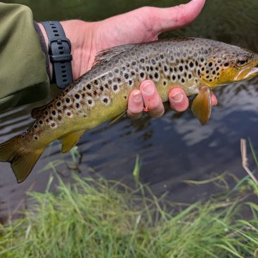 Fishing Report – August 2026